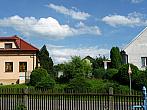 Třibřichy